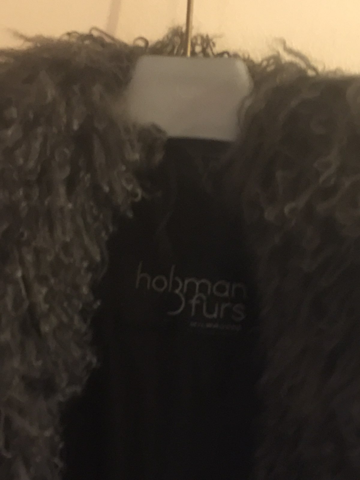 Fabulous Furs