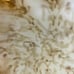 Vintage Midcentury Amber Art Glass Dish With Starburst 8.5” Murano Style