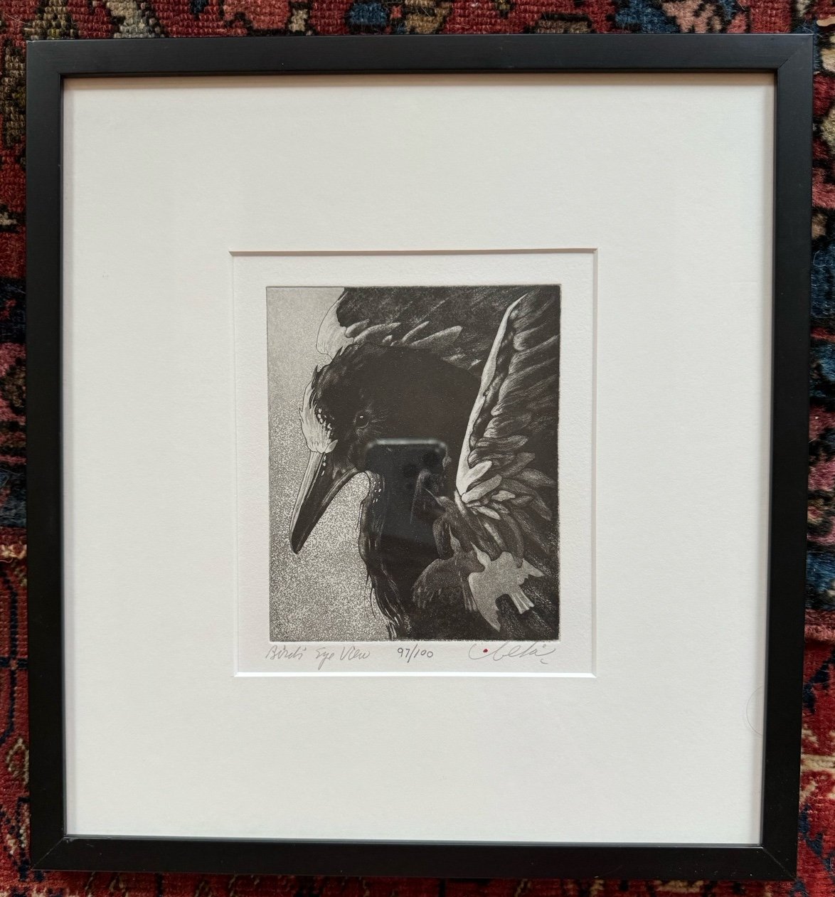 Limited Ed. 97/100 Framed Signed Beki Killorin Raven Etching: “Birds Eye View”