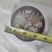 Fazzino 3D Kansas City Royals pin Brooch Rare Large Limited Edition 141/1000