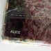 Vtg Signature 3-Piece Twin Size Sheet Set Floral Polyester/Cotton No-Iron