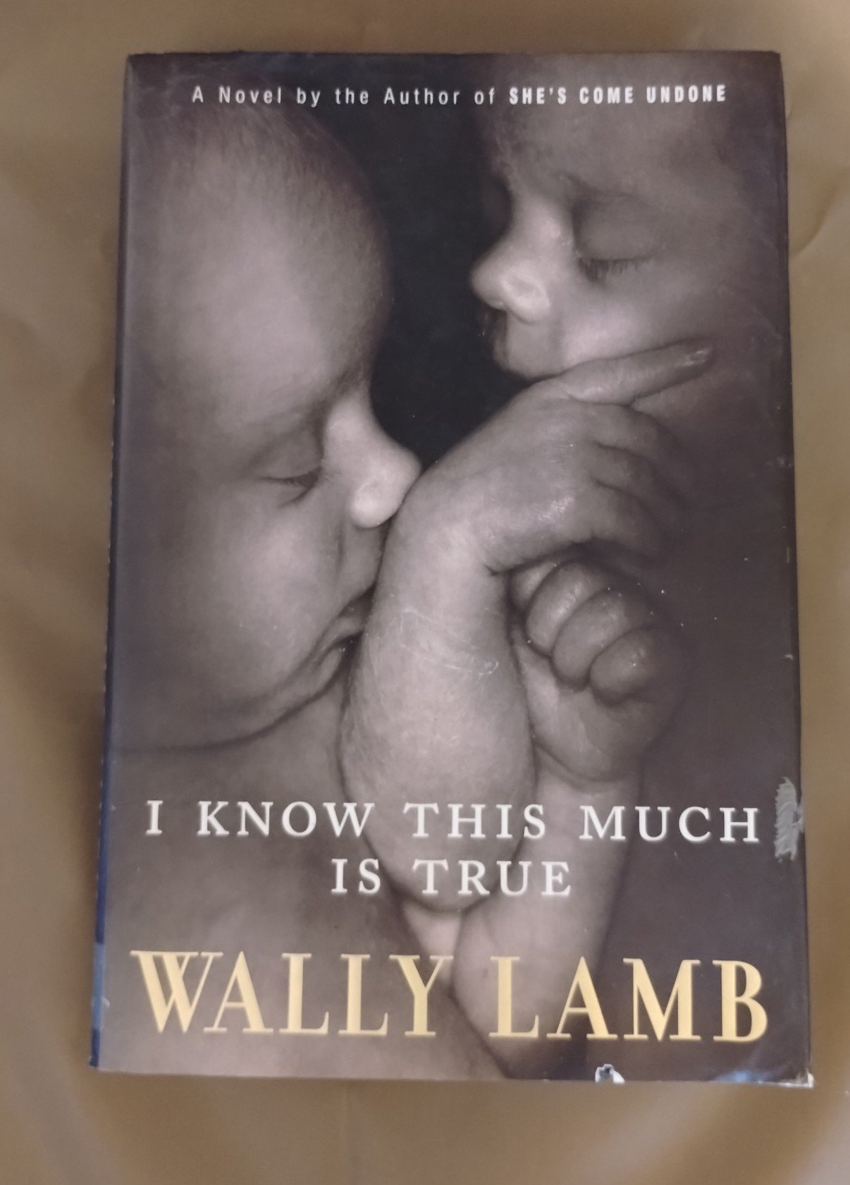 I know this much is true bye Wally Lamb