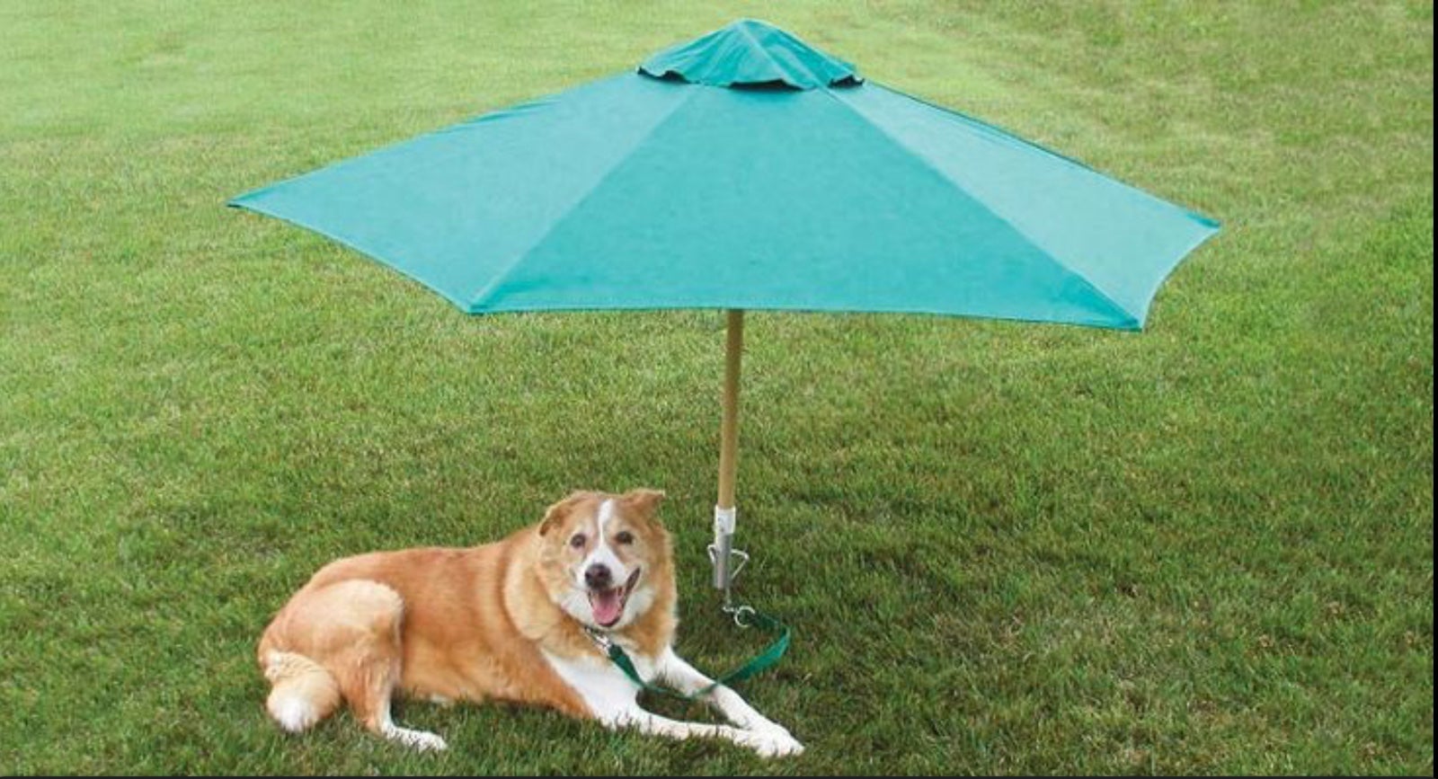 Petbrella Durable Tie-Out Stake W/ Adj., Tilting, Scotchguarded, Umbrella New!