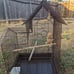 COCKATIEL HABITAT CAGE