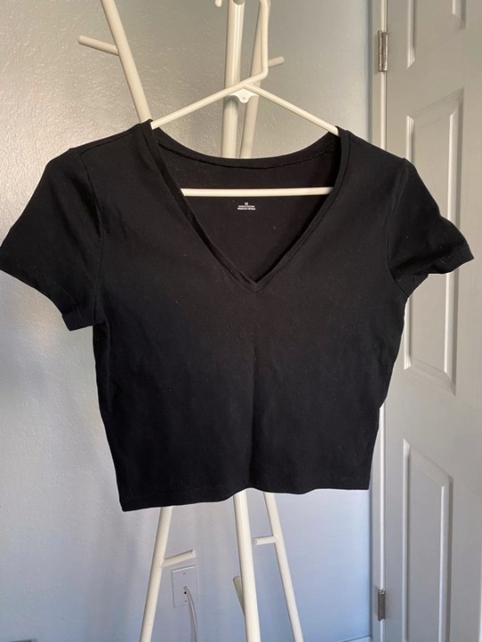 Wild fable black crop top
