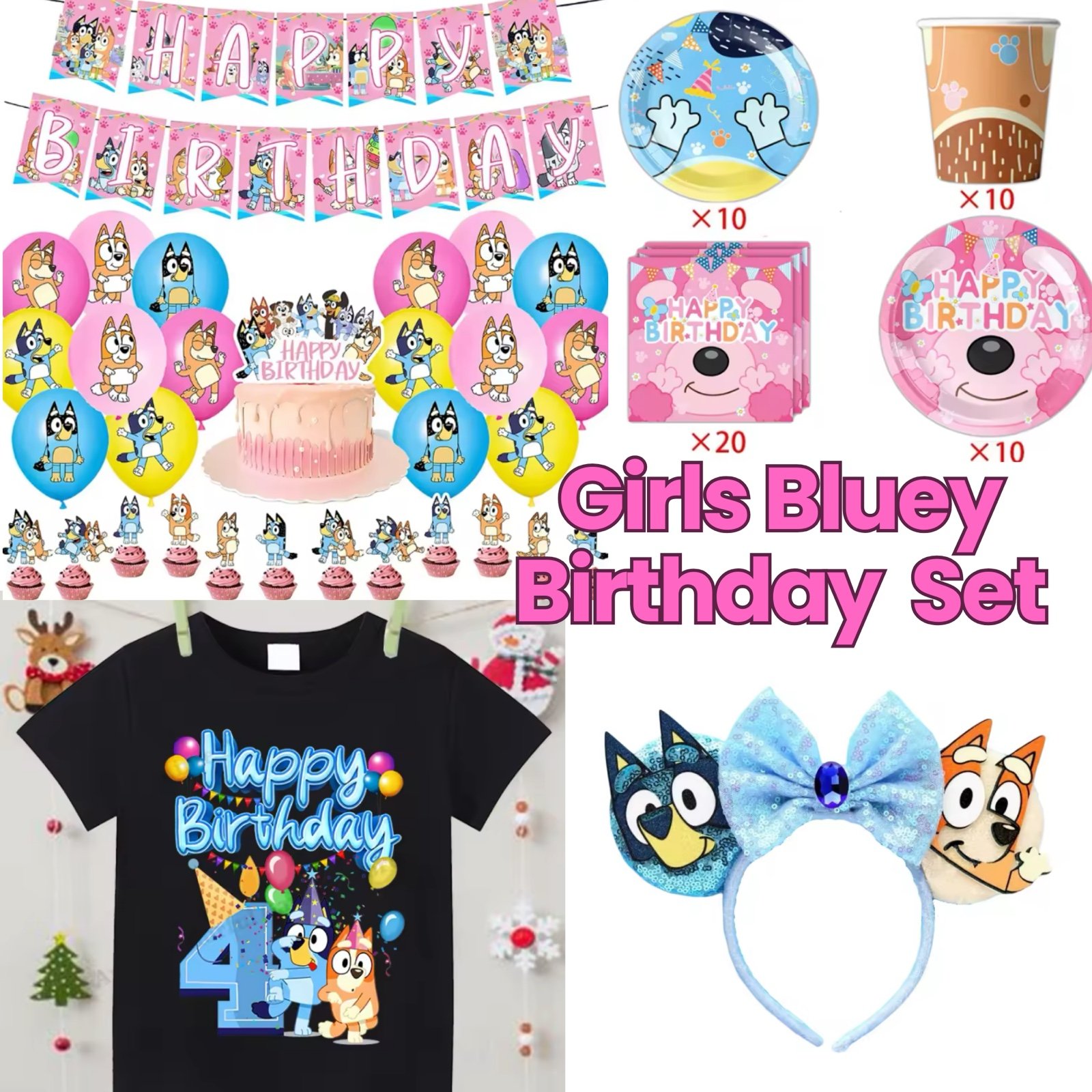 Girls Pink Bluey Birthday Party Supplies & Shirt | Size 4T| New