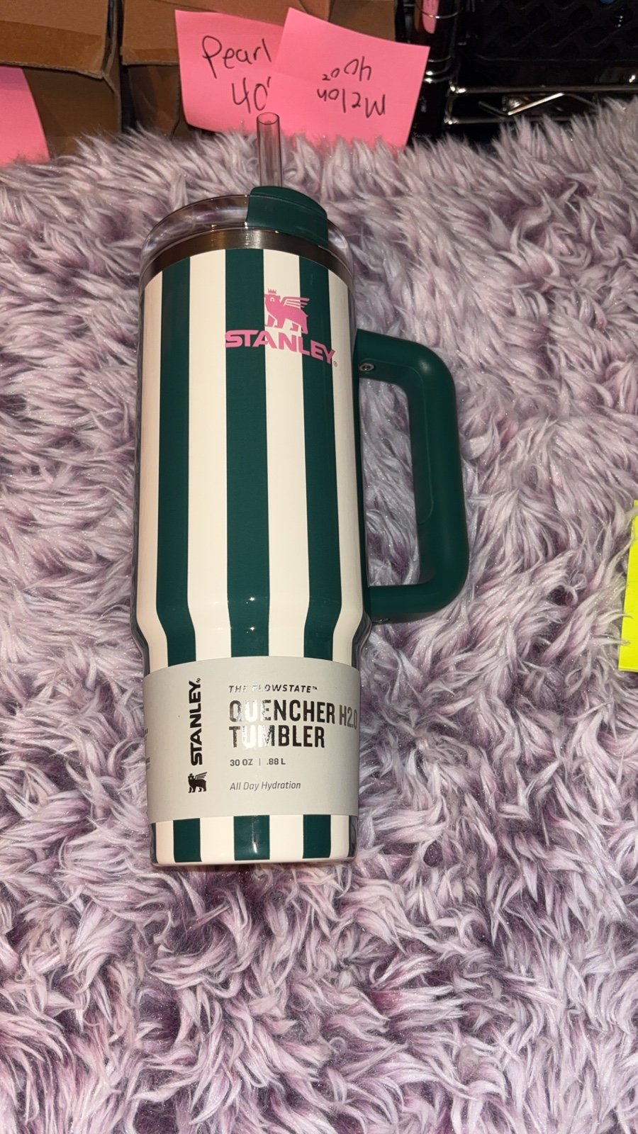 Stanley Oasis Quencher Tumbler 30OZ EMERALD CABANA GLOSS GREEN STRIPE