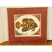DAN MITRA Framed Oscar Fish Hand-Colored Etching, Signed and Numbered