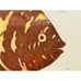 DAN MITRA Framed Oscar Fish Hand-Colored Etching, Signed and Numbered