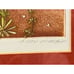DAN MITRA Framed Oscar Fish Hand-Colored Etching, Signed and Numbered