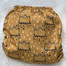 Mama Koala Cloth Diaper WTWTA
