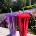 2 Starbucks Summer 2022 venti tumblers