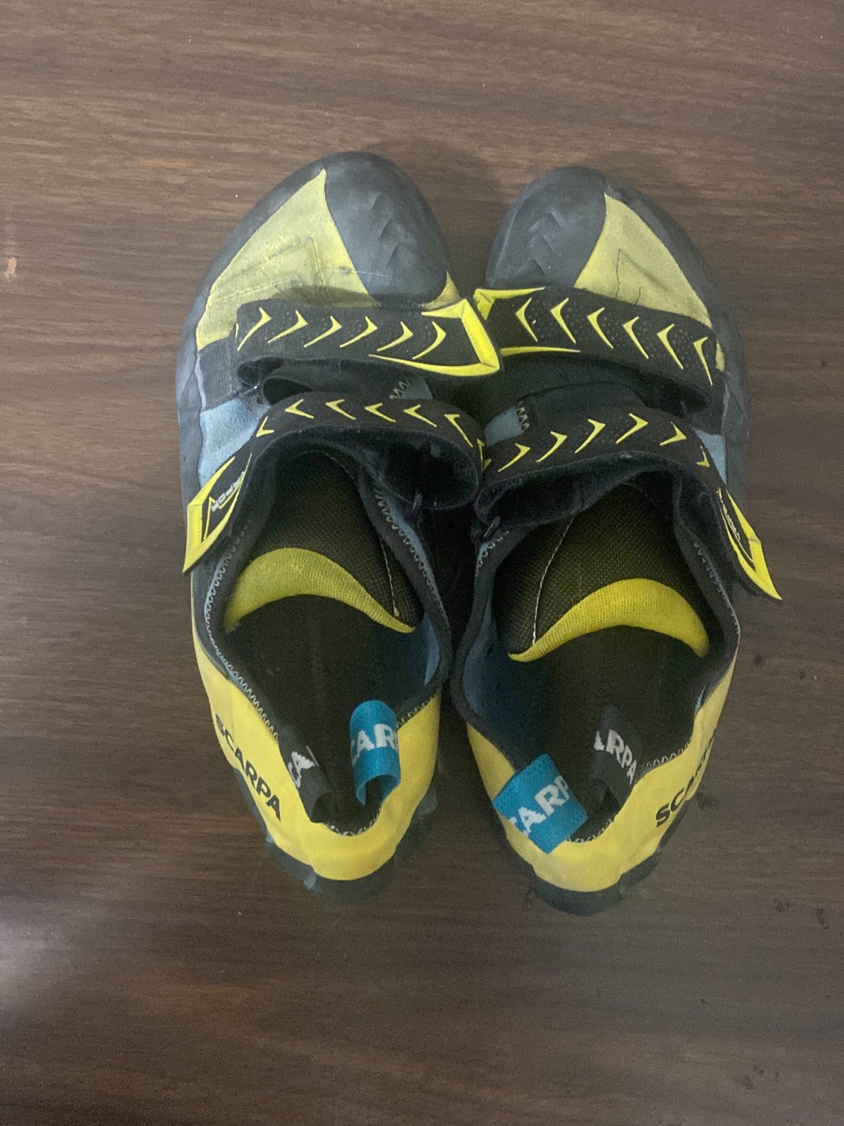 Scarpa rock climbing shoes