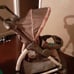 Matching Carseat and Stroller (Graco)