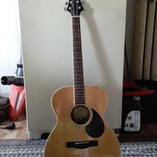 Greg bennet acoustic guitar model om-2/n