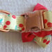 dog collar