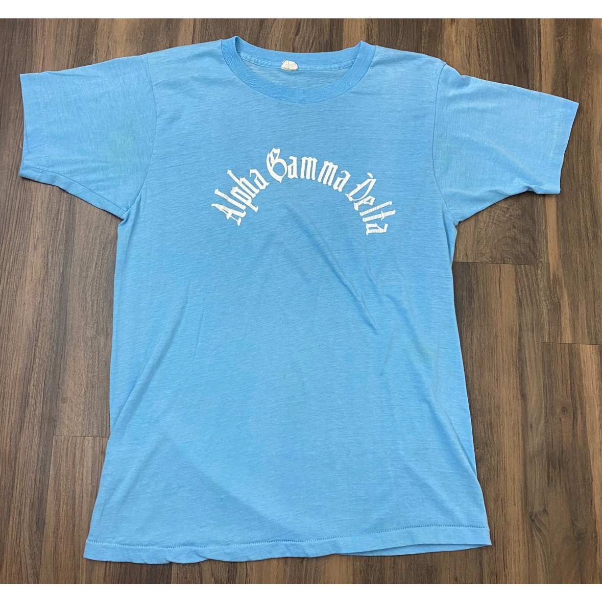 VTG 1970s Fruit of the Loom Golden Alpha Gamma Delta sorority Greek Life t-shirt