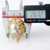 Lion Ring - Biker Ring - Mens Steel Ring
