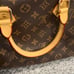 Louis Vutton purse