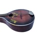 Westone wood mandolin 25 high 8 string ukelele