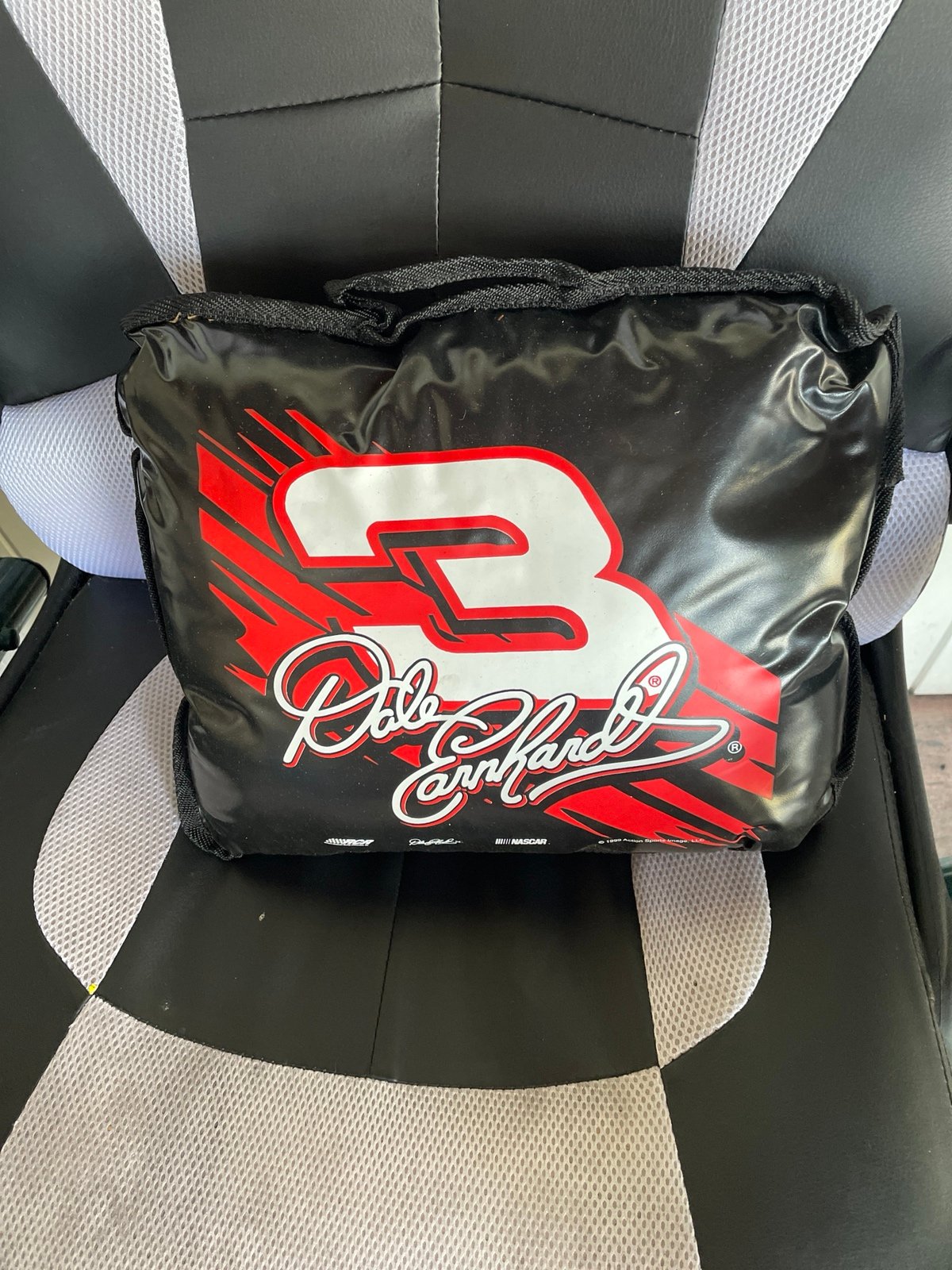 Dale Earnhardt collectible pillow