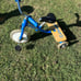 Lil gaint toddler tricycle