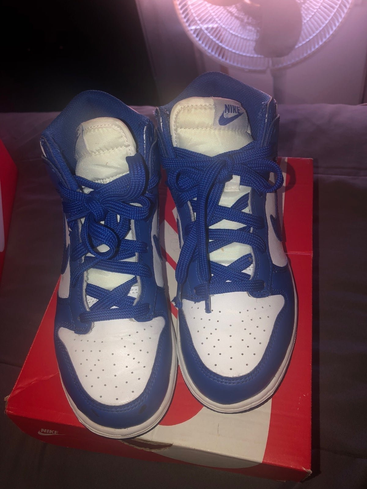 Nike dunks high