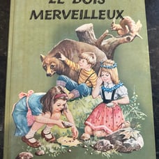 Le Bois Merveilleux 1967 kids book