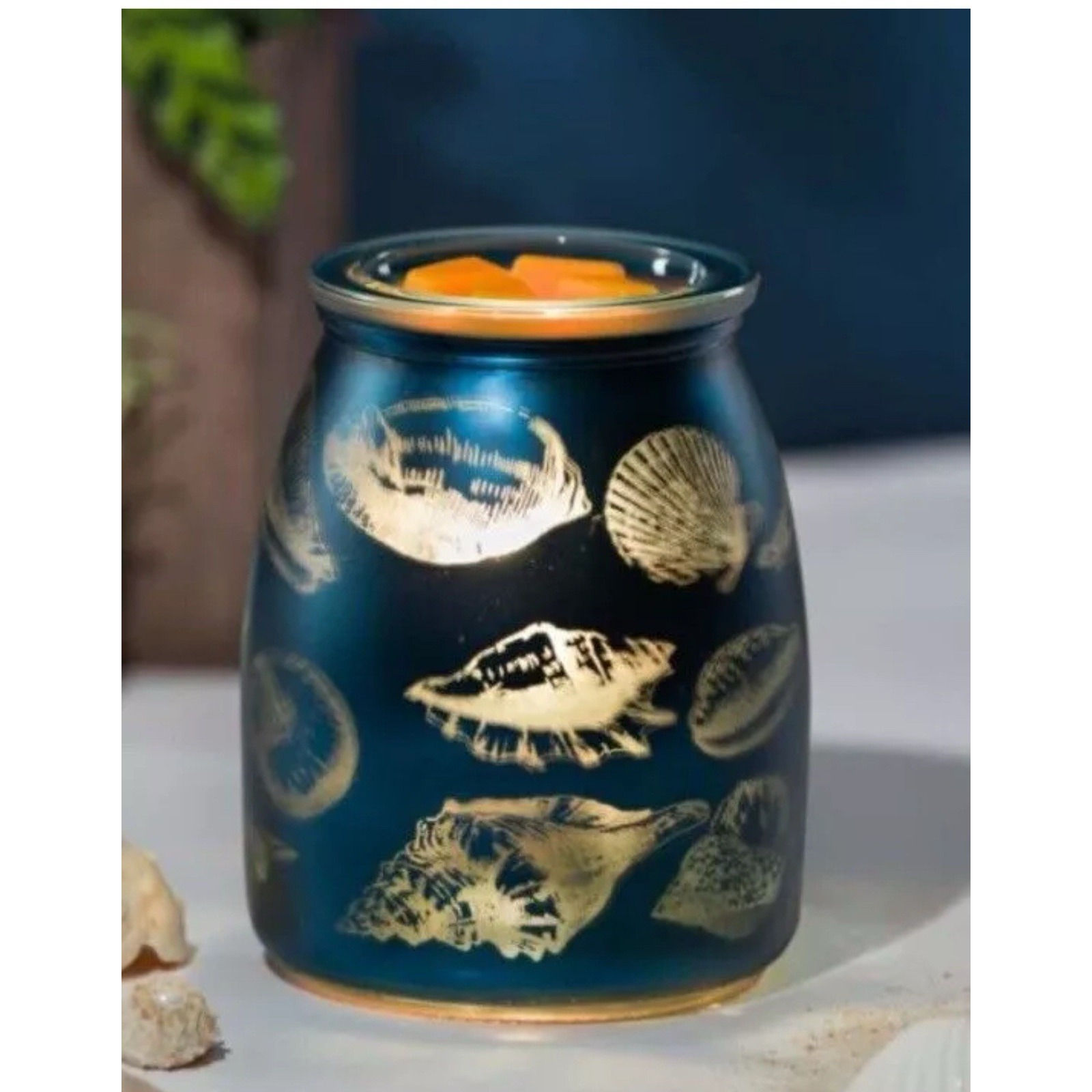 Scentsy TIDE POOL Warmer Blue Glass Laser Etched Ocean Beach Seashell Open Box