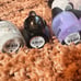 OPI nail polish bundle