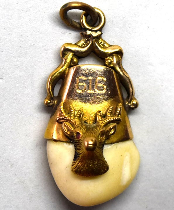 10K Solid Gold Elk Tooth Pendant G16