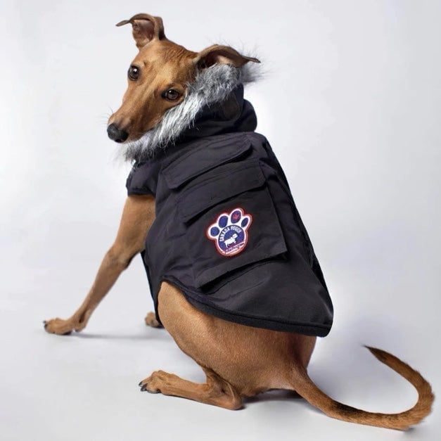 Dog Clothes (18)