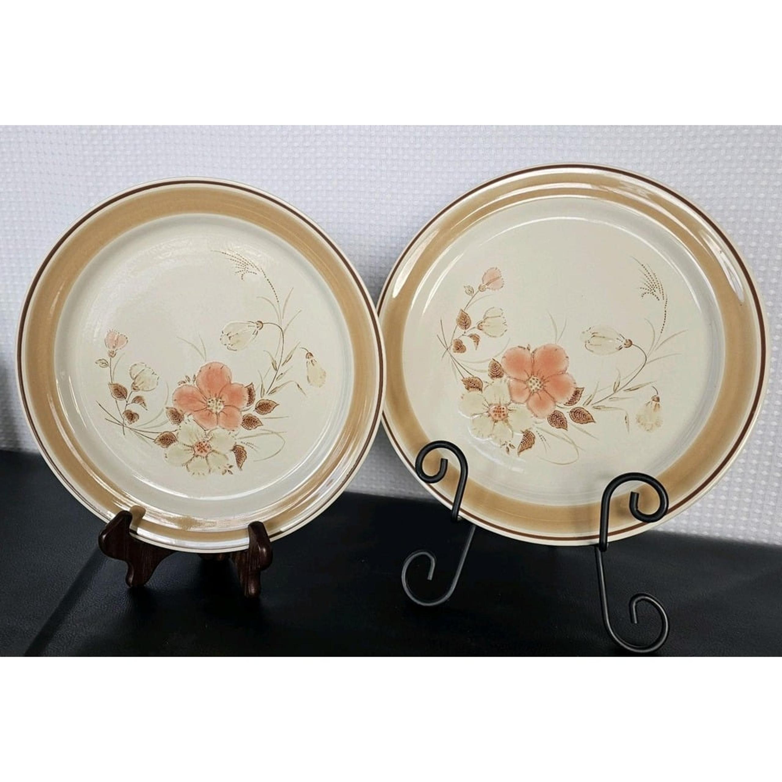 Hearthside Water Colors Blush Floral Stoneware 10.5" Dinner Plate Set Of 2