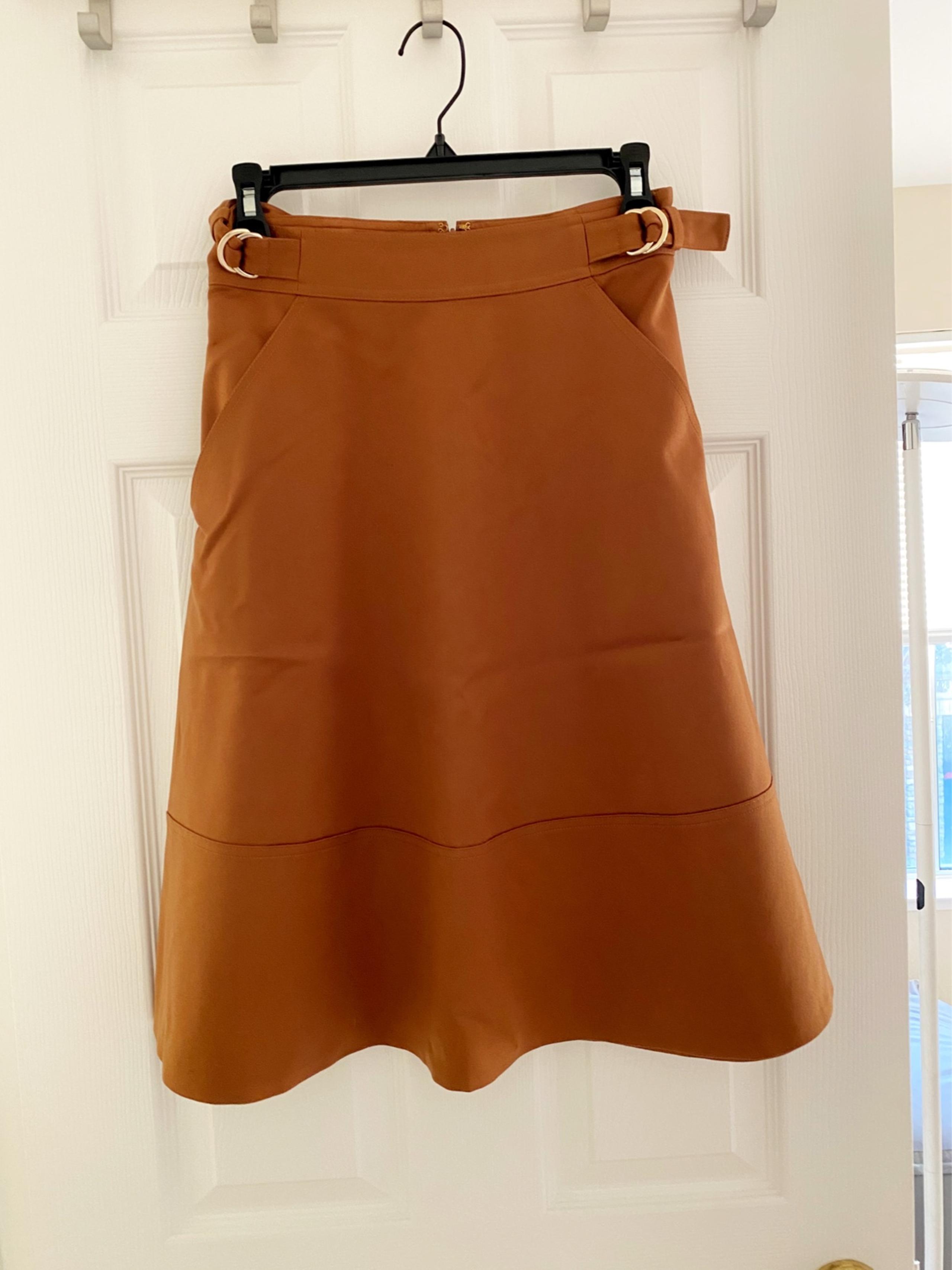 Club Monaco A-line Skirt