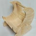 Large Moon with Cloud Wood Bed Play House Kiln Dried Chew Safe Small Pet Chinchi