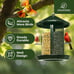 Kingsyard Metal Bird Feeder for Outdoor Hanging - Weather Resistant Chew-Proof W