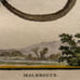 Antique 18th C. Framed Monkey Colored Engraving MALBROUCK By Comte de Buffon