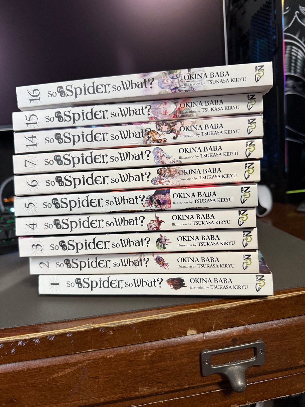 So What If I Am A Spider Light Novel