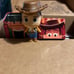 Disney Treasures