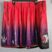 Mitchell & Ness NBA Hardwood Classic Toronto Raptors Swingman shorts