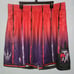 Mitchell & Ness NBA Hardwood Classic Toronto Raptors Swingman shorts