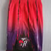 Mitchell & Ness NBA Hardwood Classic Toronto Raptors Swingman shorts