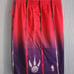 Mitchell & Ness NBA Hardwood Classic Toronto Raptors Swingman shorts