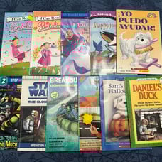 Beginning Readers Books