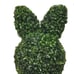 Bunny Topiary from My Texas House