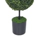 Bunny Topiary from My Texas House