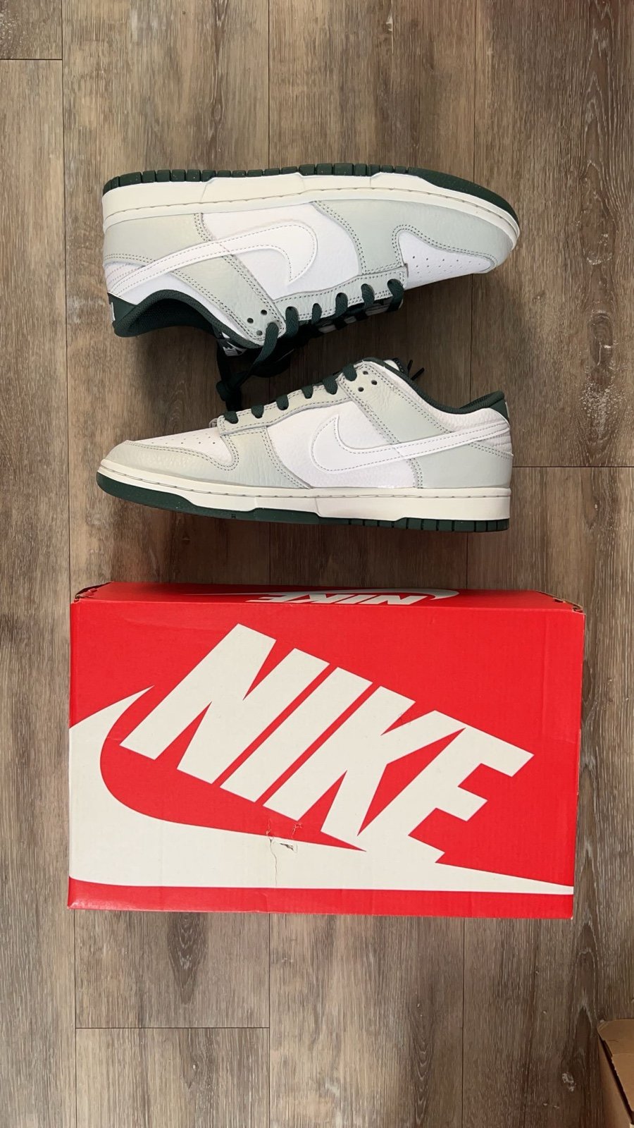 Nike Dunk Low