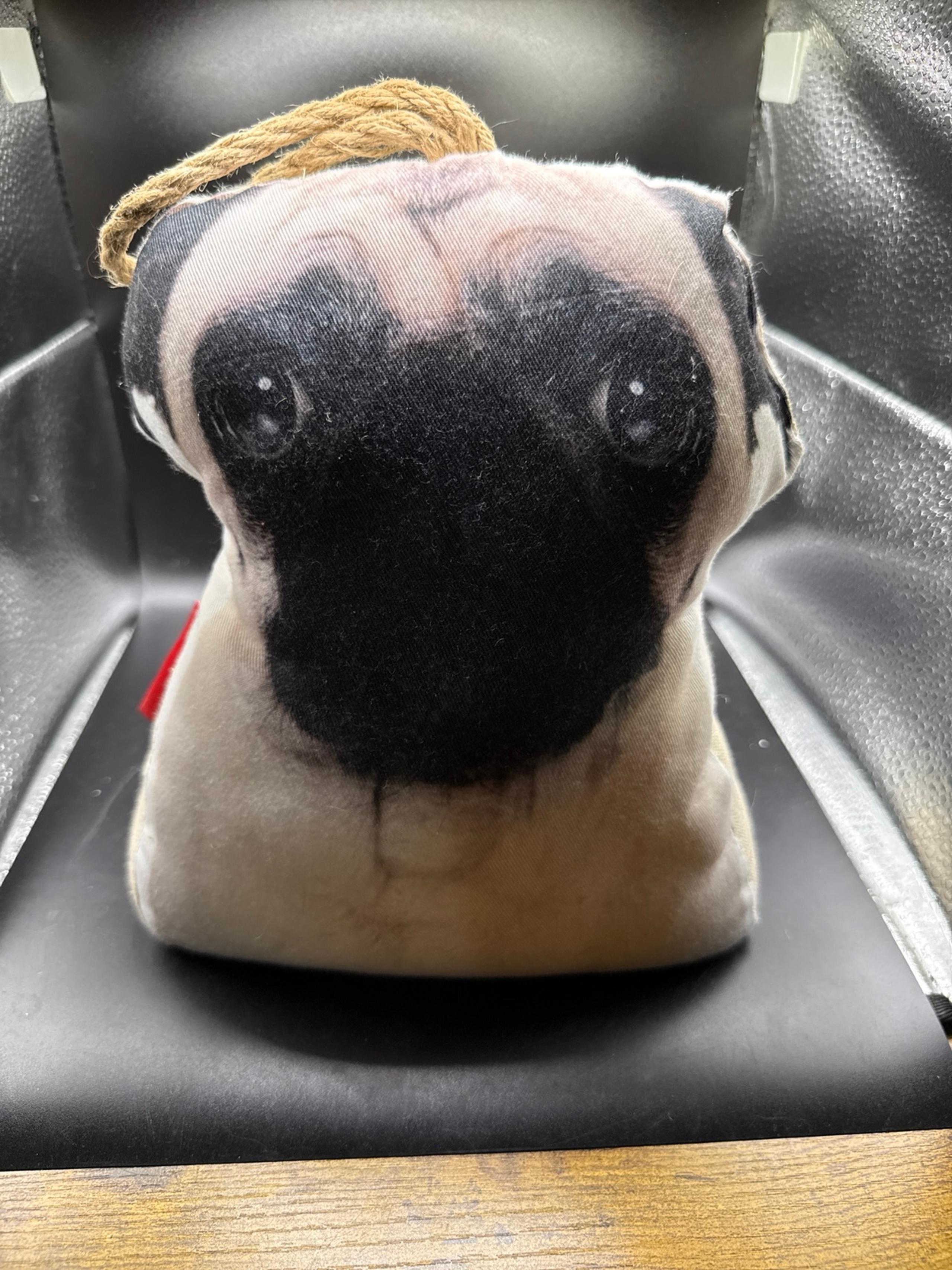 Kikkerland pug door stopper