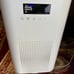 Air purifier filter