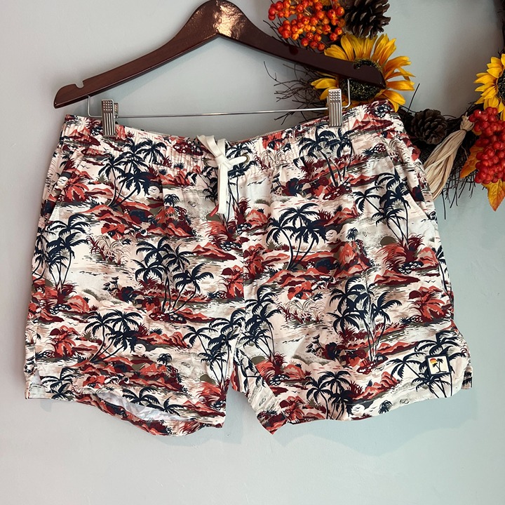 Marine Layer Men's Rincon Swim Trunk Plus Size 2XL in Hawaiian Print